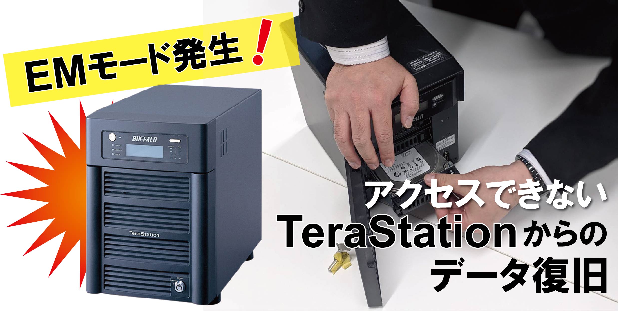 EMモード（E04,E13)TeraStationデータ復旧成功事例 – 特急データ復旧 
